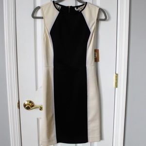 RACHEL Rachel Roy Black & Cream Dress